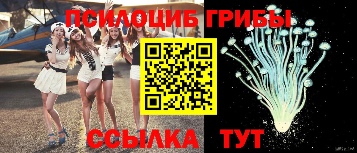 Электросталь  Псилоцибиновые грибы Psilocybine cubensis  Вход с VPN  Псилоцибиновые грибы мухоморы 